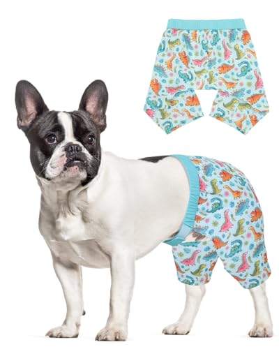 Image of CuteBone Dog Swim Trunks Swimsuit Durable & Comfortable - Quick-Dry, Adjustable Waistband Shorts, UV Protection Bikini- Perfect for Beach, Pool & Outdoor Fun, Dinos DST11XL