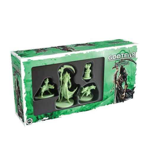 Godtear Styx figurines jeu de plateau stratégie extension champion Shaper et sbires