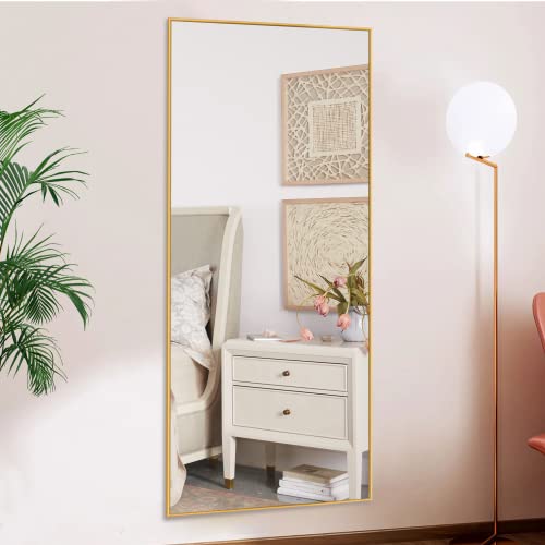 Image of NeuType 47 inchx22 inch Full Length Mirror Aluminum Alloy Frame Dressing Mirror for Bathroom /Bedroom /Living Room /Dining Room /Entry, Wall Mounted or Leaning Against Wall, Golden (No Stand)