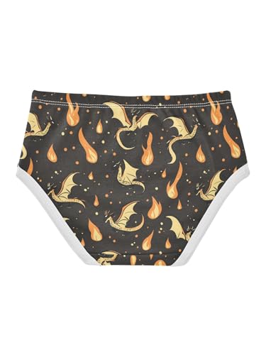 ZZKKO Yellow Fire Dragon Girls Underwear Toddler Panties for Girls Comfort Brief Size 2-8T2