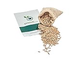 QO Seeds