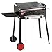 BARBECUE A GAS ECO PLUS CON ROCCIA LAVICA PIASTRA IN GHISA