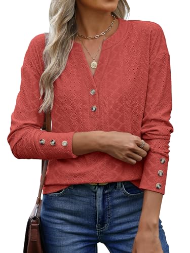 ANRABESS Womens Eyelet Tops Long Sleeve Henley Shirts Business Dressy Casual Blouse Vacation T-Shirt 2025 Fall Outfits
