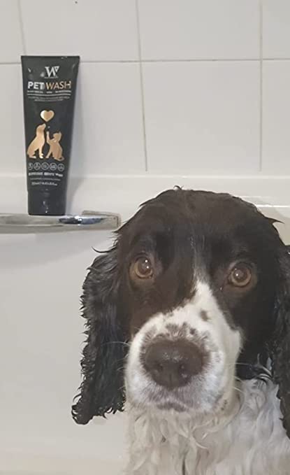 Watermans Luxus-Shampoo für Haustiere, 250 ml, für Hunde, Katzen, Pferde, Anti-Fell-Technologie, pH-ausgleichend, sofort einsatzbereit.