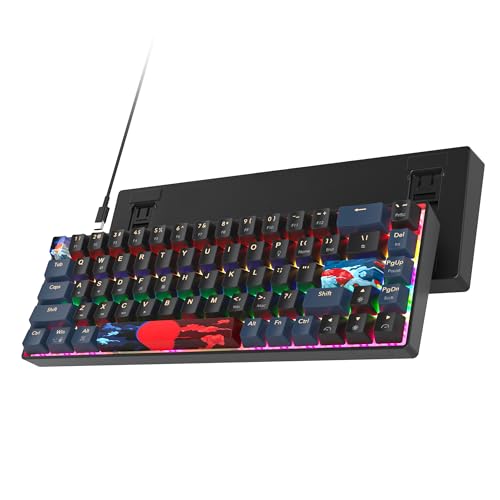 Image of 60 Percent Gaming Keyboard 68 Keys Mechanical Keyboard Rainbow Backlit Compact Wired Keyboard with Red Switch for Windows PS4 /5 Xbox(68 Blue)
