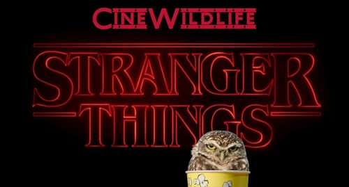 Cine Wildlife - Stranger Things, grazie di tutto