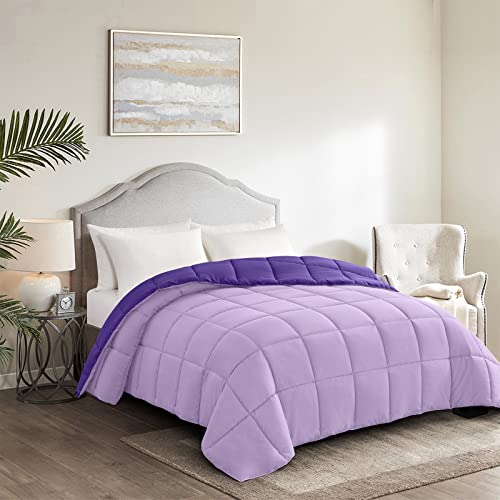 Image of Homelike Moment Oversized Queen Comforter - Purple Lightweight Down Alternative Bedding Comforters, All Season Duvet Insert Quilted Reversible Bed Comforter Soft Cozy Oversize Queen Plum /Light Purple