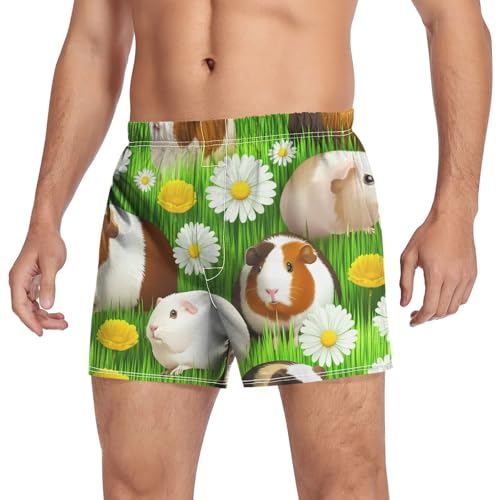 Guinea Daisies Meadow Men's Cotton Boxer Shorts Pajama Bottoms Sleep Shorts Underwear with Button Fly3