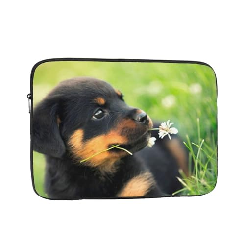 p\RP[X X[u m[gp\Rp̃obO  킢 q bgC[ ϏՌH m[gp\R P[X ʋ ʊw s o Vv ʋ ʊw rWlX  킢 y 17 Inch