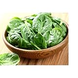 David's Garden Seeds Spinach Bloomsdale Long Standing 200 Non-GMO, Heirloom Seeds