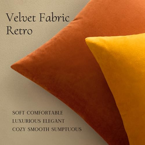 Image of MIULEE Pack of 2 Rust Pillow Covers 20x20 Inch Fall Decorative Velvet Throw Pillow Covers Modern Soft Couch Throw Pillows Farmhouse Home Decor for Sofa Bedroom Living Room