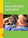 Katzenkinder aufziehen: Ein praktischer Ratgeber für das erste Lebensjahr