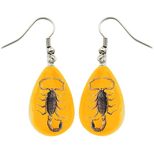 BicBugs REAL preserved scorpion earrings yellow gold
