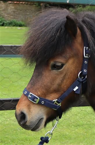 Collar de cabeza para poni Shetland azul marino ajustable Ruggles de uso diario