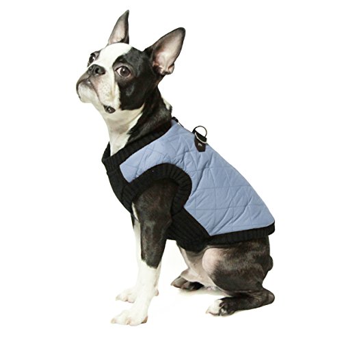 Best Coats For French Bulldogs Just HEALTHIER Frenchies!
