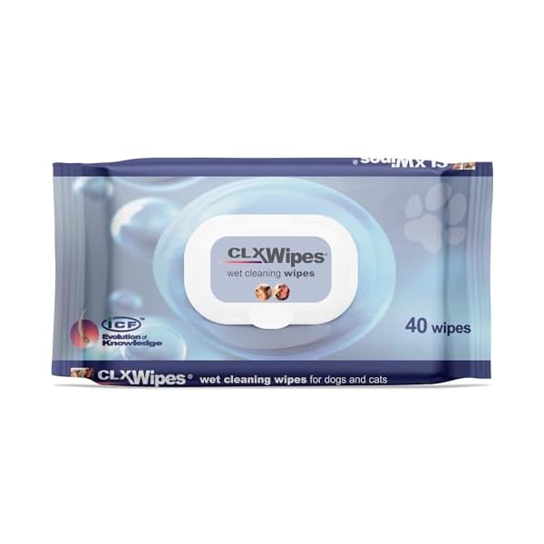 CLX Wipes - 40 Stück
