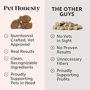   Pet-Honesty-Allergy-Support-Fresh-Sticks-Dental-Sticks-for-Dogs-Dental-Dog-Chews-Immune-Health-Allergy-Support-for-Dogs-Freshen-Dog-Breath-Reduce-Plaque-Tartar-30-sticks