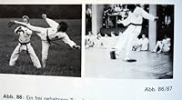 Taekwondo. Koreanischer Kampfsport 3806803471 Book Cover