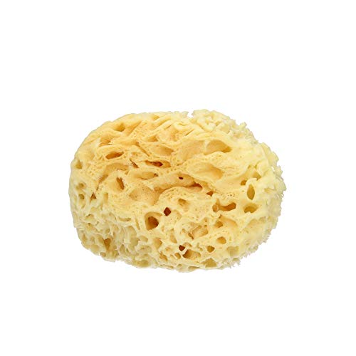 spugna naturale di mare extra delicata 700