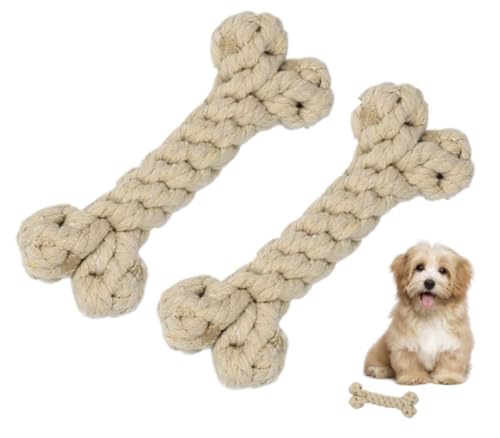 CHIPP'S ̊ނ RbgKu{[, p, [v, , XgX, C^Yh~,^ (~NeBX2)