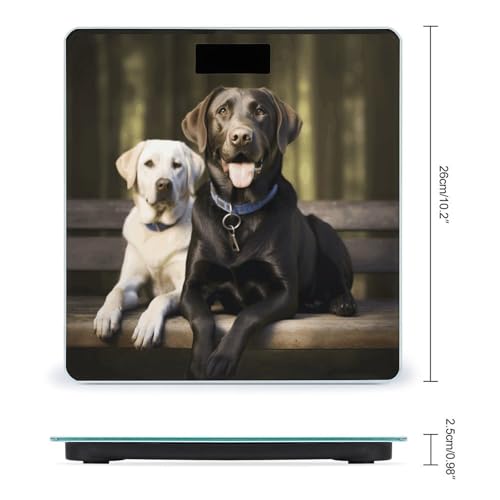 Báscula Digital Labrador Smart Body Weight 180kg miniatura 2