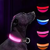 【Seguridad nocturna】: el collar liviano es súper brillante para caminatas nocturnas y hace que su perro sea claramente visible y brille en la oscuridad.Su perro será fácil de encontrar en la oscuridad, altamente visible para otros caminantes, corredores, ciclistas, automovilistas, etc.