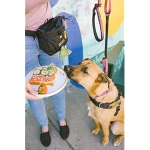 OllyDog-Backcountry-Day-Bag-Fanny-Pack-Dog-Treat-Pouch-Hands-Free-for-Training-Hip-Pack-with-Built-in-Poop-Bag-Dispenser-Removable-Waist-Belt-Clip-Raven - Cucciolini Doodles   OllyDog-Backcountry-Day-Bag-Fanny-Pack-Dog-Treat-Pouch-Hands-Free-for-Training-Hip-Pack-with-Built-in-Poop-Bag-Dispenser-Removable-Waist-Belt-Clip-Raven