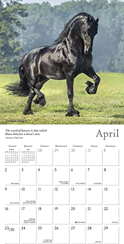 The Spirited Horse 2023 Wall Calendar, 16-Month Animal Calendar, 12" X 12" #TOP3