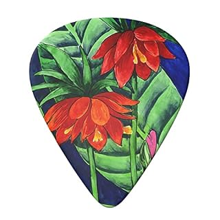 Flower Lot de 6 médiators pour guitare acoustique, guitare électrique, basse, ukulélé – fins, moyens et épais. - Les Beatles, Paul McCartney, John Lennon, RIngo Starr, George Harrison Flower Lot de 6 médiators pour guitare acoustique, guitare électrique, basse, ukulélé – fins, moyens et épais. – Image 3