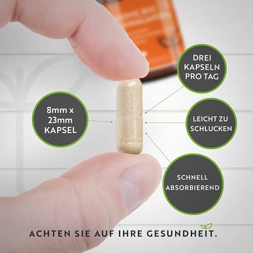 Ashwagandha Nutravita 2100mg – 240 Kapseln, hochdosiert