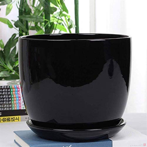 Macetas para plantas ideales como regalo para amigos, familia y colegas
