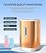FCADFCA Hydrogen Inhalation Therapy Machine, Brown's Gas Inhaler, 99.99% High Purity H2 Water Ionizer, Dual-Port Inhaler, for Home, Clinics Gold 225ml/min