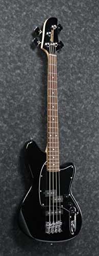 Professional Bass Guitar Starter Bundle