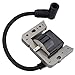 Wellsking LV195EA ignition Coil Module for Toro Recycler 22 6.5HP 5HP 6HP Tecumseh 34443B 3443C 34443D 1a138-42-12 1a138-52-12 LV195XA LEV120 OHH50 OHH55 OHH60 H60