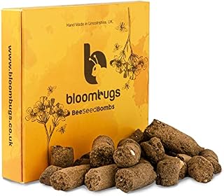 Native Wildflower Bee and Butterfly Seed Bombs Balls 26 UK Native Wildflower Species Included per Ball. Handmade in Lincolnshire. Gardening Gift Seeds Mix Box Covers up to 30 sq ft (1 Box)