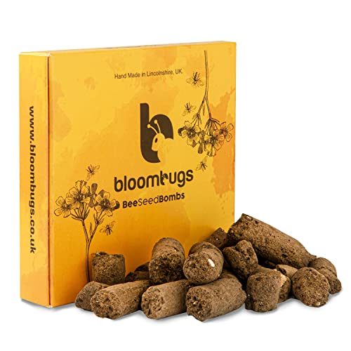 Bloombugs Native Wildflower Bee & Butterfly Seed Bomb Balls