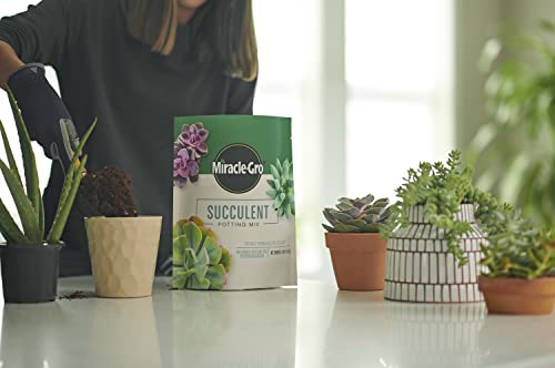 Image of Miracle-Gro Succulent Potting Mix, 4 qt. (2-Pack) | Potting Soil Mix for Indoor Succulents, Aloe Vera and More, Made with Miracle-Gro Plant Food