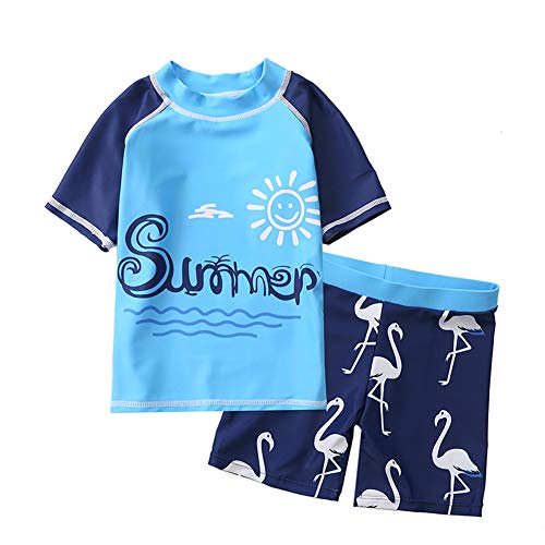 taitaibaby Baby Toddler Boys Two Piece Rash Guard Short Sleeve Swimsuit Flamingo Trunks Bathing Suit Swimwear Set,1-7Y Blue