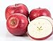 Kauffman Orchards Fresh-Picked Red Delicious Apples (Box of 16)