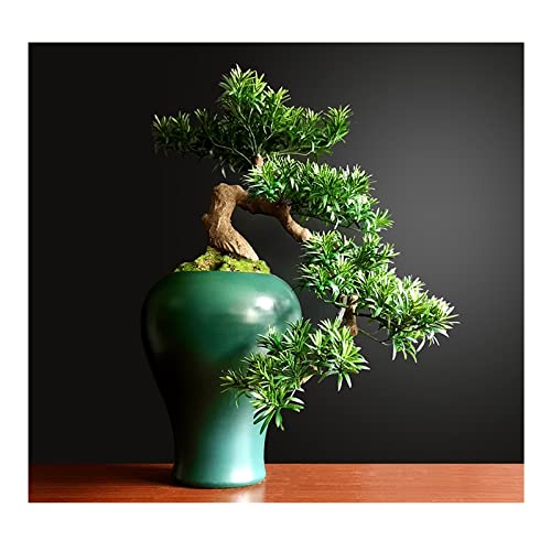 Artificial Árboles Bonsai Tree Faux Pine Tree Bonsai Juniper Tree Bonsai Artificial Bonsai Tree Decoración Interior Casa Planta con Maceta de cerámica Bonsai Artificial Que da la Bienvenida al Pino