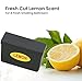 iTouchless 4 Gal Sensor Bathroom Trash Can with Lid and Odor Absorber, Stainless Steel 15 Liter Small Waste Basket, Includes Air Freshener Fragrance Pack, Home Office Bedroom Livingroom