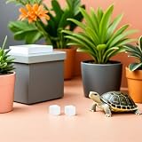 Beavorty 6 cubes de calcium de 1,2 cm pour tortue et reptile photo 4