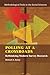 Polling at a Crossroads: Rethinking Modern Survey Research (Methodological Tools in the Social Sciences) in Search günstig Kaufen-Polling at a Crossroads: Rethinking Modern Survey Research (Methodological Tools in the Social Sciences)
