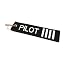 Pilot 4 Silver Stripes