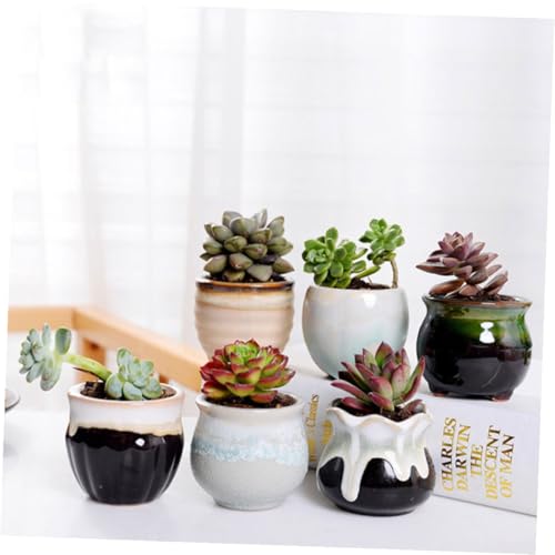 Pots en céramique émaillée BESPORTBLE pour succulentes x6 - 4