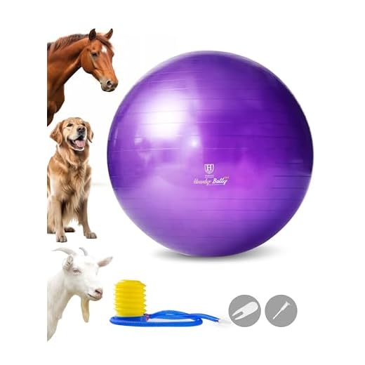 Harrison Howard Mega Horse Play Ball Anti-Burst Giant Horse Ball Horse Soccer Ball 25 Inch
