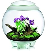 Amazon｜biOrb バイオーブエアー60 No.46147 ホワイト 植物育成