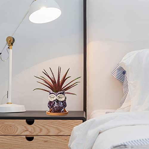 Pots de fleurs en céramique émaillée et plateaux en bambou véritable - 7