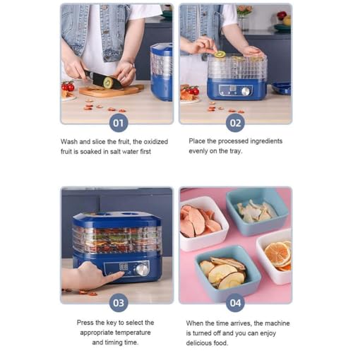 5-Schicht-Tablett Elektrischer Dörrgerät Dörrautomat Für Lebensmittel Obsttrockner Maschine Dörrautomaten Fleisch Mit Timer Und Temperaturregelung 95 ° F-158 ° F Für Obst, Gemüse, Beef Jerky 350W – Bild 7