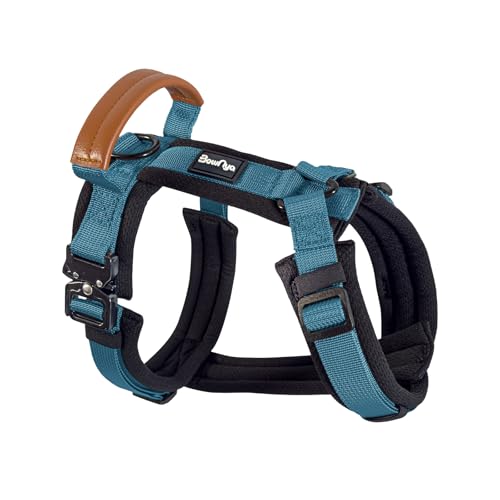 【獣医師推奨】BowNya Cauda, 犬 ハーネス 首に優しい レザーハンドル 気管虚脱 金属バックル 小型 中型 大型犬 心地 – KOKOCHI Harness セルリアンブルー Mサイズ